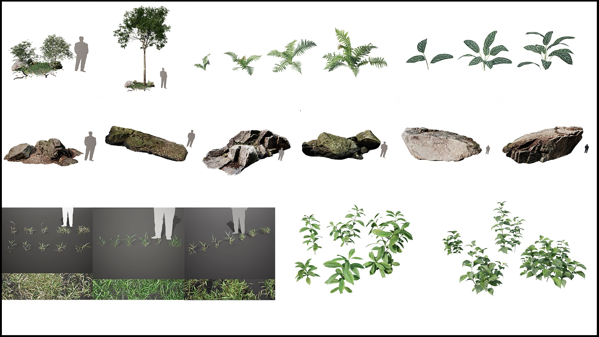 Realistic PALM TREE GRASS PLANTS in Props UE Marketplace